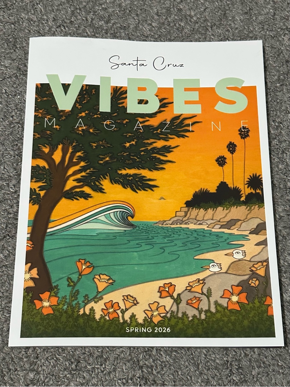 Santa Cruz Vibes Magazine Beach California Marine Sea Ocean CA Spring 2026